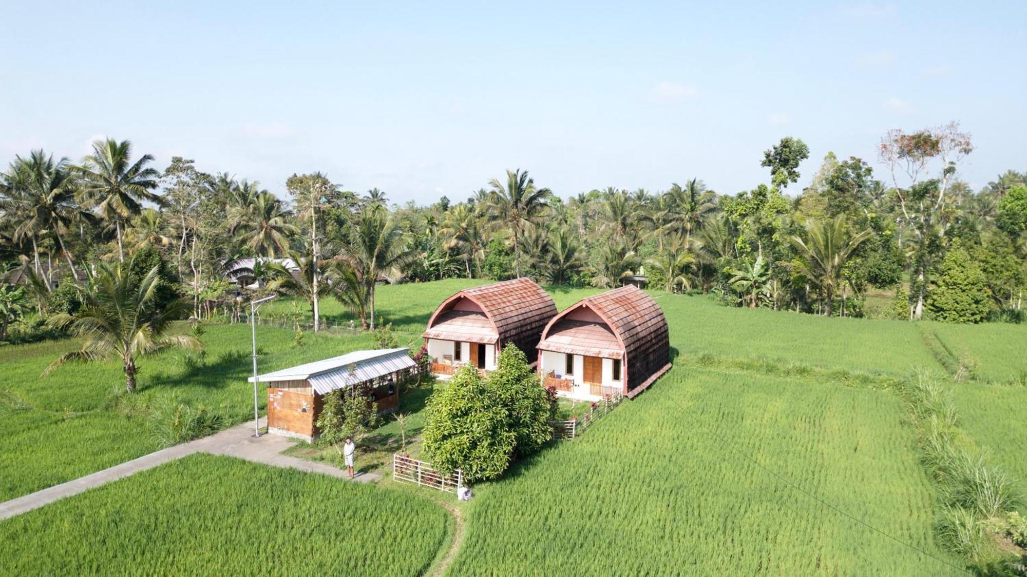Vila Bale Tetebatu Exteriér fotografie