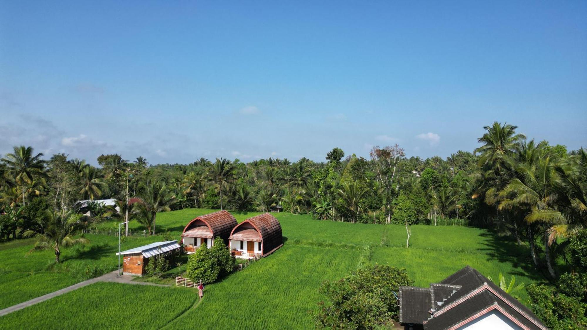 Vila Bale Tetebatu Exteriér fotografie