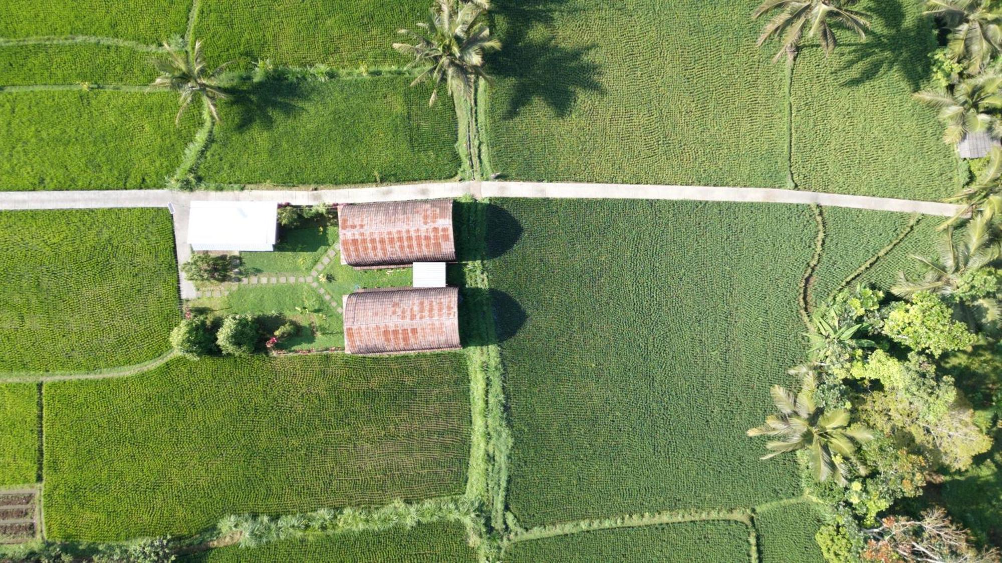 Vila Bale Tetebatu Exteriér fotografie