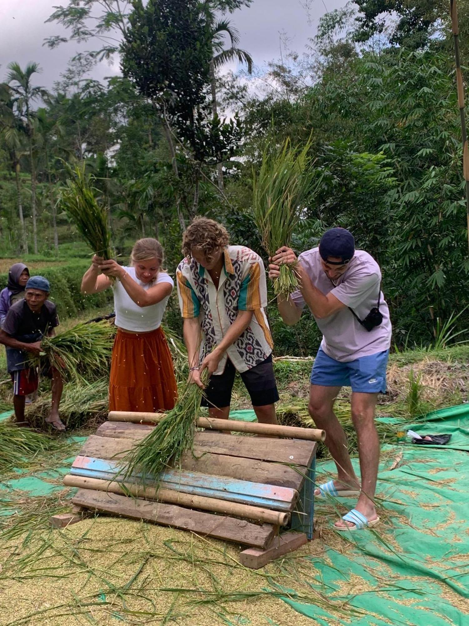 Vila Bale Tetebatu Exteriér fotografie