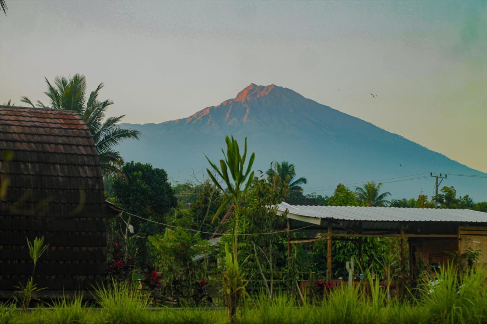 Vila Bale Tetebatu Exteriér fotografie