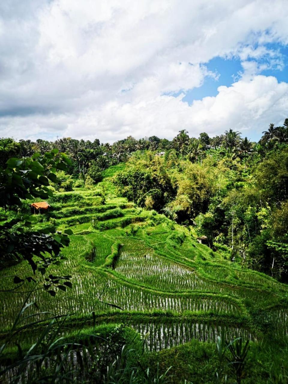 Vila Bale Tetebatu Exteriér fotografie